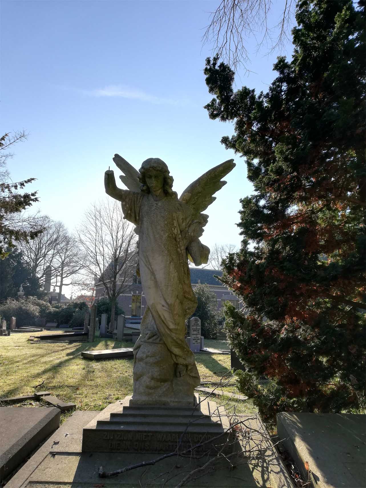 een standbeeld van een engel in een zonovergoten begraafplaats
