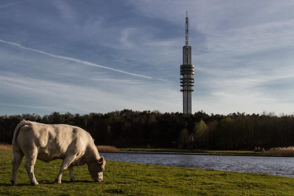 Tv toren