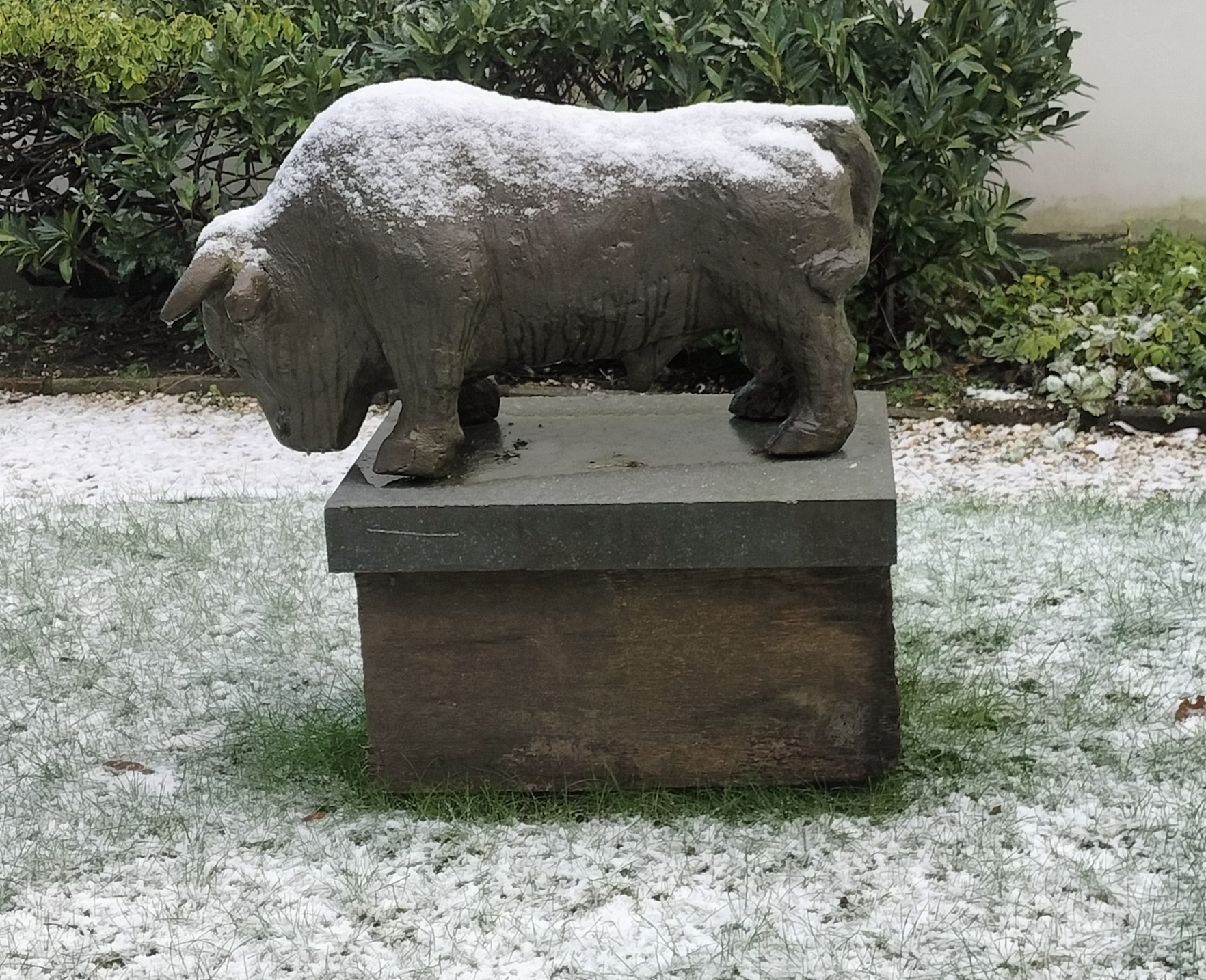 Beeld van een stier